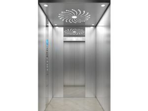 FUJI Home Elevator